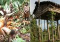 Cerita Tentang Korowai, Suku di Pedalaman Papua yang Masih Doyan Makan Daging Manusia