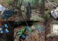Kesaksian Korban yang Diselamatkan dari Bunuh Diri di Hutan 'Bunuh Diri' Aokihara Jepang: 'Lokasi yang Sempurna untuk Mati'
