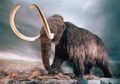 Berhasil 'Dibangkitkan', Gen Mammoth Akan Dikembangkan Menjadi Makhluk Hibrida