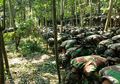Amerika dan Eropa Tak Ada Apa-apanya, Trik Kompak Ini Bikin Pasukan TNI Berciri Khas Unik Dibanding Negara Lainnya, Pendidikan Komando yang Brutal dan Menakutkan Jadi Cikal Bakal