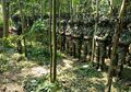 Meski Sedang Menjalani Pendidikan Komando Yang Tak Mengenal Kompromi, Begini Para Prajurit TNI Melalukan Kewajiban Salat Jumat dan Salat Lima Waktu