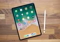 Apple akan Luncurkan iPad Mini 5 dan iPad 10 Inci, Harganya?
