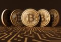 Meriahkan HUT ke-7, Indodax Gelar Kontes Perdagangan Aset Kripto