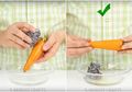 Tak Perlu Repot, Ini 5 Cara Mudah Mengupas Telur Hingga Wortel