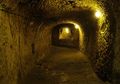Sedang Renovasi Rumah, Pria Ini Malah Temukan Lorong Misterius, Ternyata Lorong Itu Menghubungkan Sebuah Kota Kuno yang Ada di Bawah Tanah!