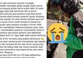 Makanannya Tak Kunjung Datang, Seorang Customer Langsung Telepon Driver Ojol yang Menerima Pesanan, Bukannya Marah-marah, Justru Ini yang Dilakukan Usai Tahu Yang Terjadi