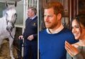 Wah, Kereta Pengantin Harry dan Meghan akan Ditarik oleh Kuda Legendaris Ini