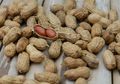 Fakta Sebenarnya di Balik Mitos 'Makan Kacang Bikin Jerawatan'