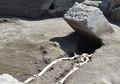 Arkeolog Termukan Kerangka Manusia yang Ungkap Tragedi Kelam Pompeii, 'Kota yang Runtuh'