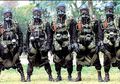 Israel, Pakistan, dan Negara Teluk Harus Menghadapi Kenyataan Tatanan Dunia Baru, Rela Membuang Propaganda 'Israel Musuh Sejati'?