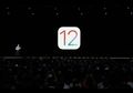 Jangan Dulu Update Apple iOS 12.1 !, Inilah Segudang Masalahnya