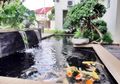Cara Praktis Atasi Kolam Ikan Koi yang Bocor, Lakukan Langkah Ini!