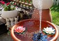 Kolam dan Water Feature Hadirkan Kedamaian di Taman, Begini Membuatnya