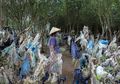 Tim Peneliti Belanda: Mangrove di Pesisir Jawa Dibekap Sampah Plastik