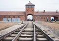 Dilarang Bersenda Gurau di Kamp Konsentrasi Nazi di Auschwitz, Membantah Bisa Berbahaya