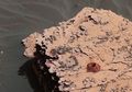 Ditemukan Molekul Organik di Mars, Pertanda Kehidupan Masa Lalu?