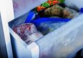 Siap Mudik? Jangan Lupa Letakan Koin dalam Freezer, Wow Ini Manfaatnya!