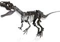 Para Ilmuwan Marah Karena Fosil Dinosaurus Langka Dilelang Rp28 Miliar