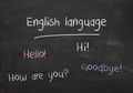 Penasaran Kenapa Bahasa Inggris adalah Bahasa Internasional? Ini alasannya