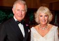 Gara-gara Serial The Crown yang Berkisah Tentang Keluarga Kerajaan Inggris Ini, Pangeran Charles dan Camilla Batasi Komentar Medsos, Ada Apa?