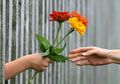 Wajib Tahu, Inilah 7 Tip Langgeng dengan Pasangan Walau LDR-an