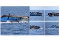 Foto-foto Kapal Tenggelam di Danau Toba yang Viral di Media Sosial Ternyata Hoaks, Ini Penjelasannya