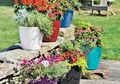Libatkan Anak Saat Lakukan Aktivitas Berkebun, Ini Manfaatnya!