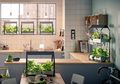 Jadi Lebih Segar Dengan Tanaman, Contek 8 Inspirasi Desain Dapur Ini