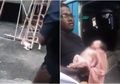 Miris, Bayi Baru Lahir Ini Terlempar dari Lantai 2 Gedung dan Ditemukan Masih Hidup