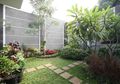 5 Syarat Menanam dan Merawat Rumput agar Tumbuh Subur dan Lebat