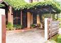 Mau Pilh Tanaman untuk Atap Carport? Pertimbangkan 5 Hal Ini!