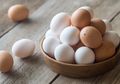 Bisa untuk Diet, Ini 7 Manfaat Tak Terduga Lainnya dari Telur