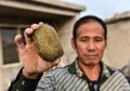 Kisah Penduduk Desa di China yang Mendadak Jadi Miliarder Baru Setelah Tak Sengaja Temukan Empedu Babi