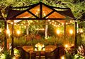 Oleskan Teak Oil agar Buat Gazebo Lebih Tahan Panas, Jangan Lupa Ikuti Langkah Ini!