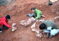 Fosil Dinosaurus Raksasa Pertama Ditemukan di Argentina