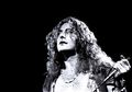 Teriakan Legendaris di Musik Rock, Mulai dari Led Zeppelin hingga The Who