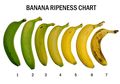 Beda Tingkat Kematangan Beda Manfaat, Pisang Mana yang Harus Kamu Dipilih?