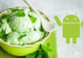 Makin Penasaran, OS Android P Pakai Nama Es Krim "Pistachio"?