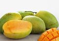 Sering Dibuang, Ternyata Biji Buah Mangga Ampuh untuk Kontrol Diabetes dan Masalah Kesehatan Lainnya