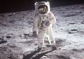 Koleksi Pribadi Neil Armstrong Siap Untuk Dilelang, Minat Membelinya?