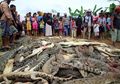Seorang Warga Digigit Buaya Hingga Tewas, Puluhan Warga Marah dan Balik Bunuh 300 Buaya