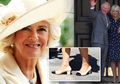 Jika Putri Diana Tak Bisa Pakai Sepatu Ini, Maka Camilla Justru Bangga Selalu Mengenakannya