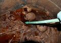 21.000 Orang Tandatangani Petisi Minum 'Jus Mumi', Apa Sebenarnya Cairan Kecoklatan Ini?