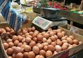 Selama Ini Kita Salah, Ternyata Telur Tak Perlu Dicuci Terlebih Dahulu Sebelum Memasaknya