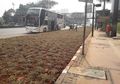 Ada 'Taman' di Antara Halte Bus dan Jalan Raya di Sudirman: ‘Jadi Kita Lewat Mana Kalau Mau Naik Bus?’