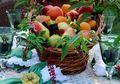 Mau Tanam Buah atau Sayuran di Lahan Terbatas? Catat Hal Satu Ini