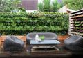 Wall Garden Ini Sedang Berkembang, Cari Tahu Lebih Banyak Yuk!