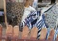 Seekor Keledai 'Dipaksa' Menjadi Zebra di Sebuah Kebun Binatang, Caranya Konyol Sekaligus Miris
