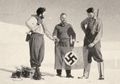 Ekspedisi Rahasia Hitler ke Antartika Demi Mencari Bahan Baku Margarin