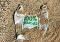 Tak Terurai Sepenuhnya, Plastik 'Biodegradable' Masih Menyimpan Bahaya Bagi Lautan